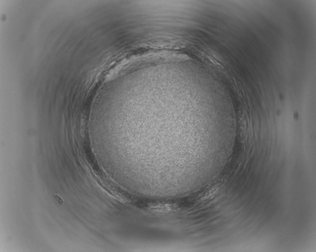 X0000053060499200508011918