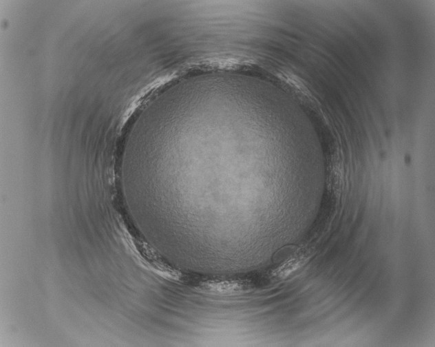 X0000053060500200508011918