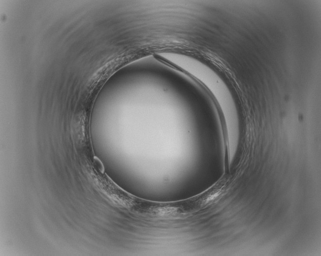 X0000053060501200508011918