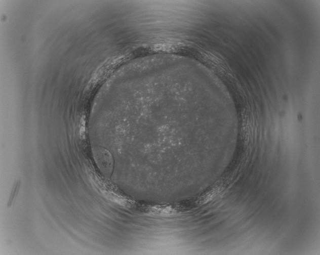 X0000053060502200508011917