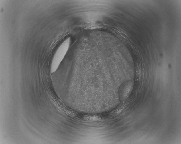 X0000053060503200508011917