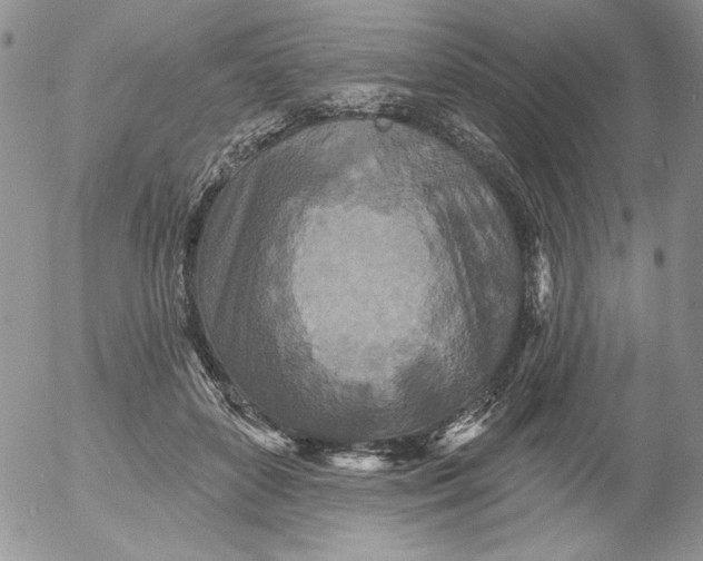 X0000053060504200508011917