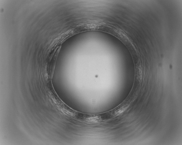 X0000053060505200508011917