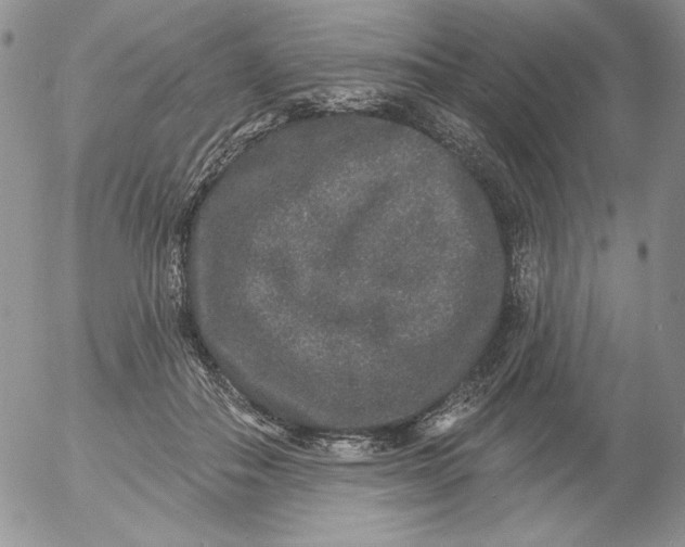 X0000053060506200508011917