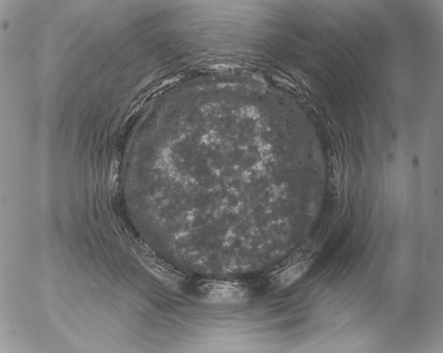 X0000053060507200508011917