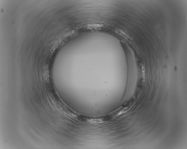 X0000053060508200508011917