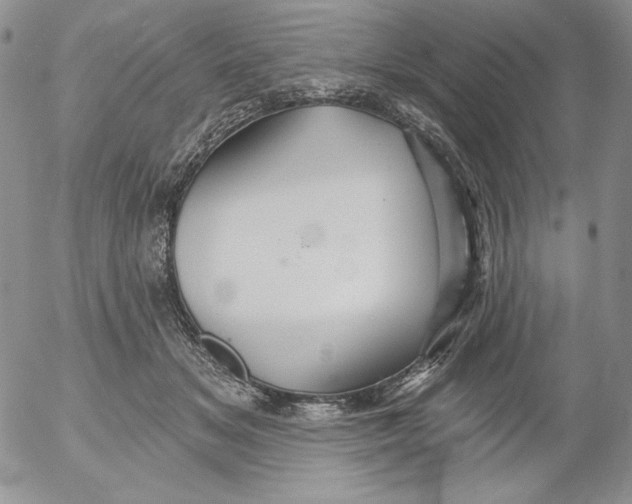 X0000053060509200508011917