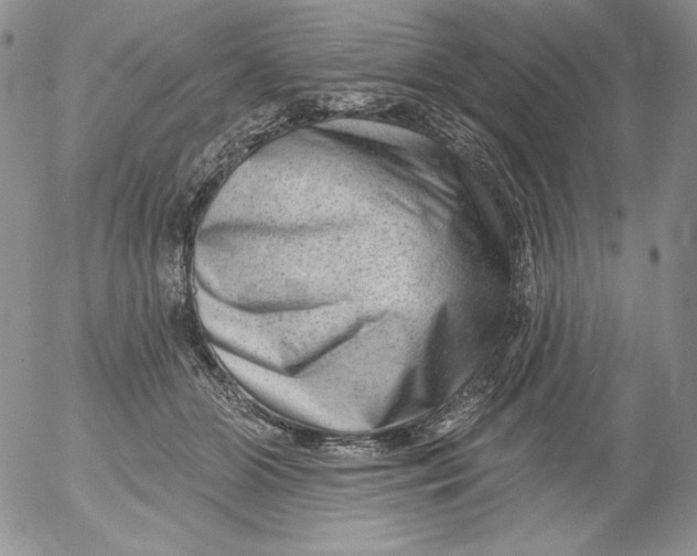 X0000053060510200508011917