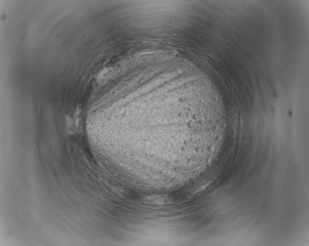 X0000053060511200508011917