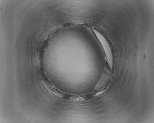 X0000053060512200508011917