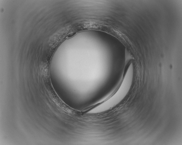 X0000053060513200508011917