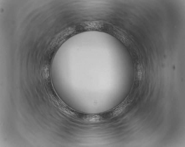 X0000053060514200508011917