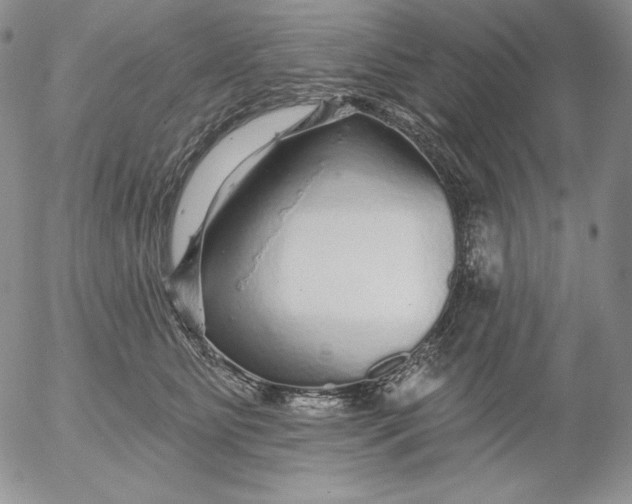 X0000053060515200508011917