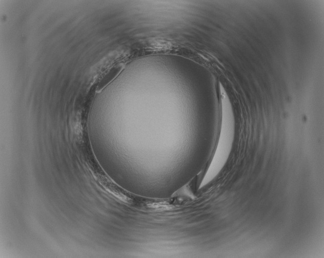 X0000053060516200508011917