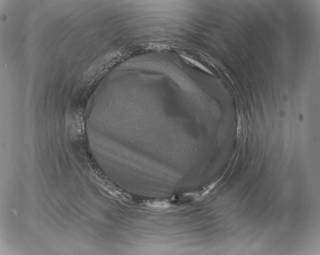 X0000053060517200508011917