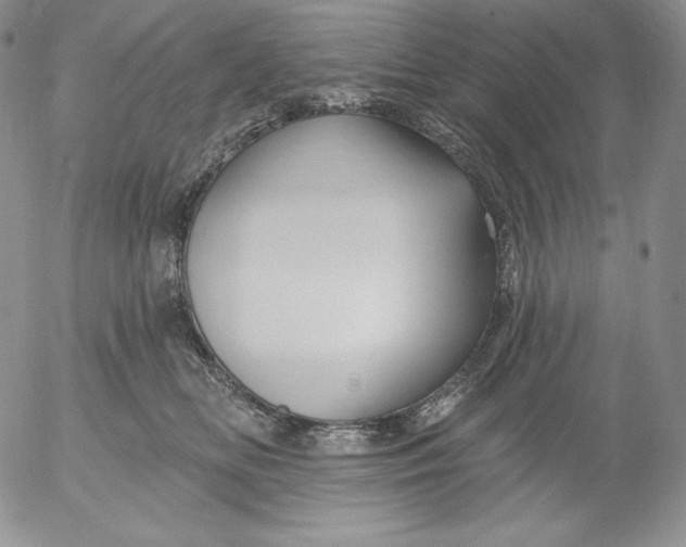 X0000053060518200508011917