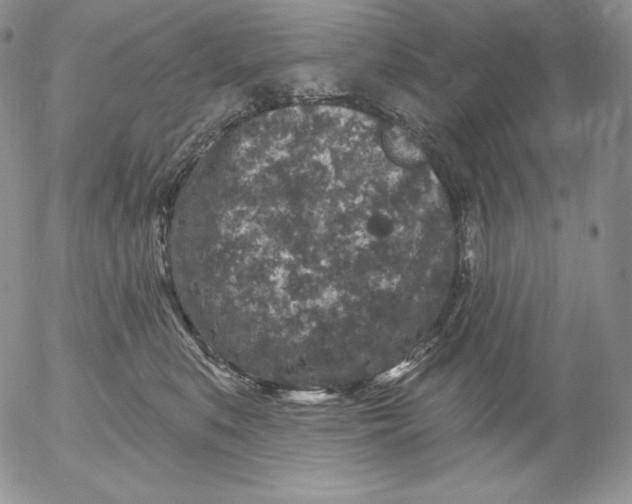 X0000053060519200508011917