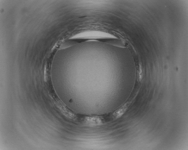 X0000053060520200508011917