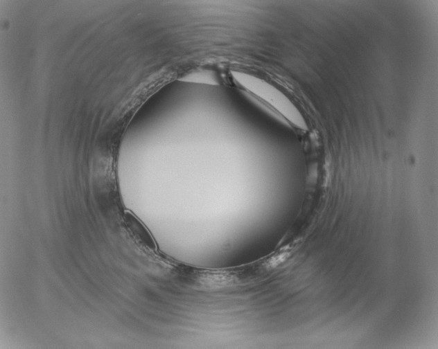 X0000053060521200508011917