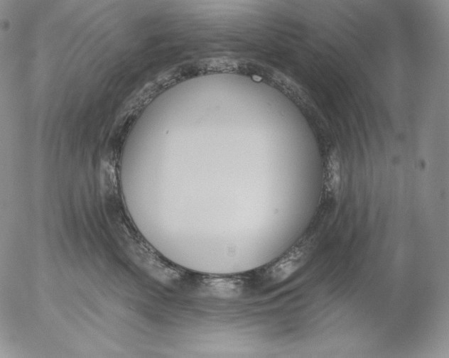 X0000053060522200508011917