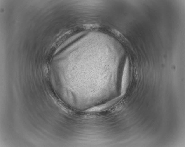 X0000053060523200508011917