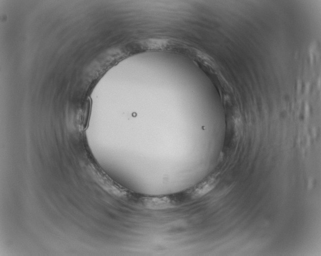 X0000053060525200508011917