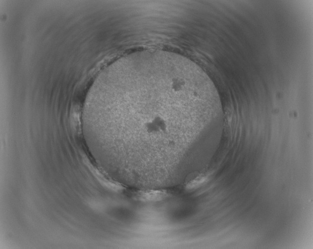 X0000053060527200508011917