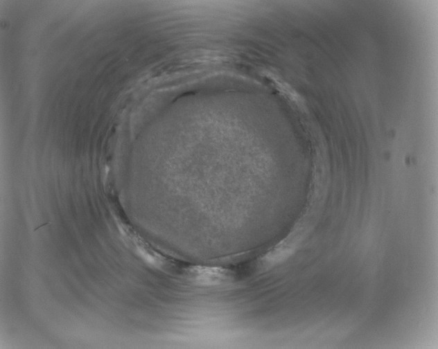 X0000053060528200508011917