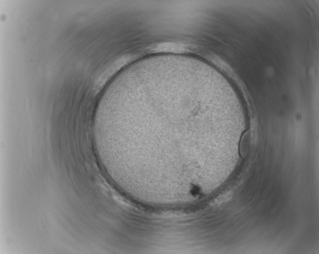 X0000053060529200508011916