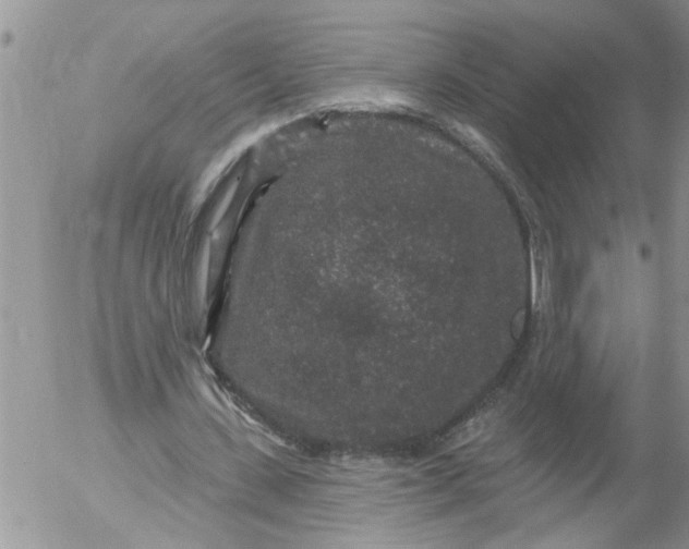 X0000053060531200508011916