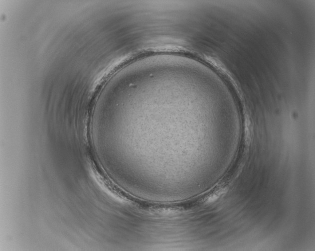 X0000053060533200508011916