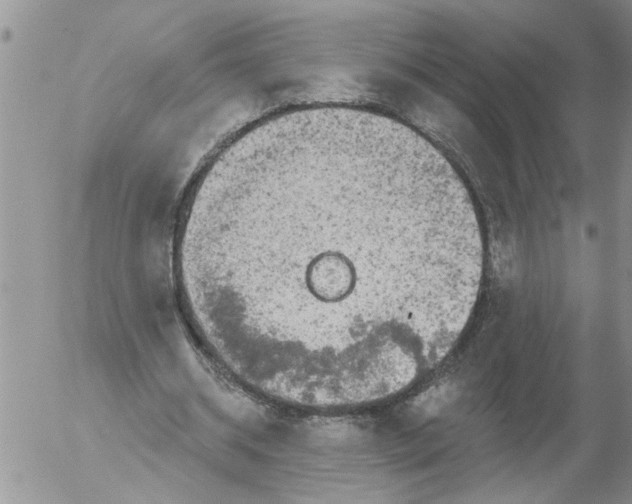 X0000053060534200508011916