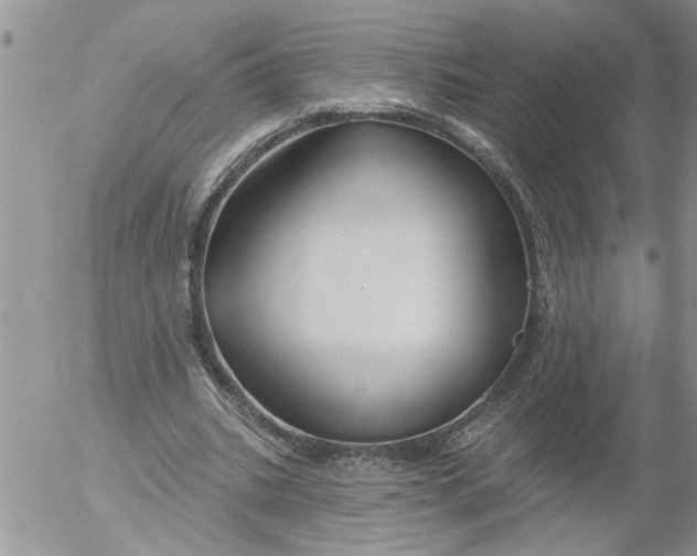 X0000053060535200508011916