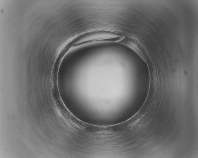 X0000053060536200508011916