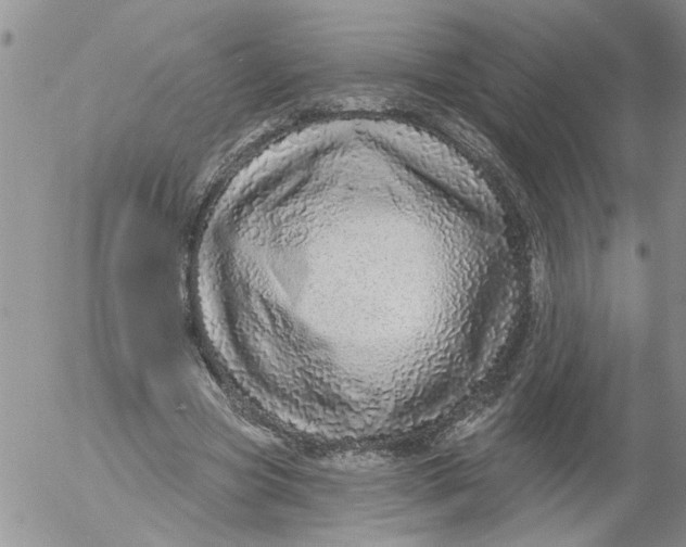 X0000053060537200508011916