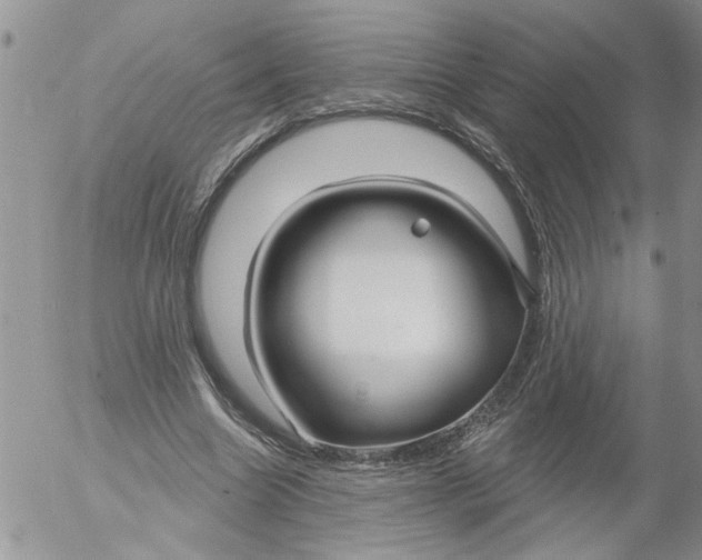 X0000053060538200508011916