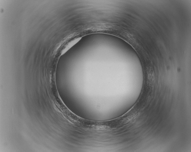 X0000053060539200508011916