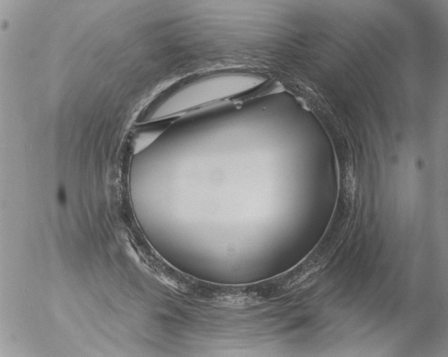 X0000053060540200508011916