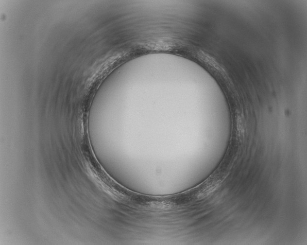 X0000053060541200508011916