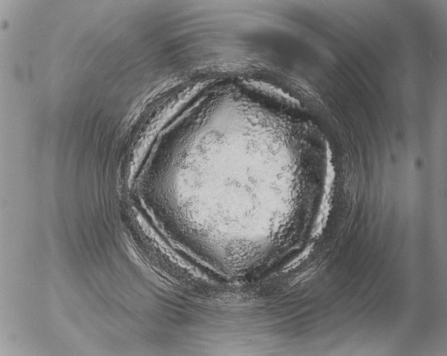 X0000053060542200508011916