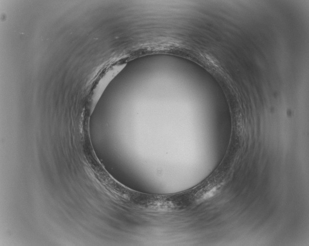 X0000053060543200508011916