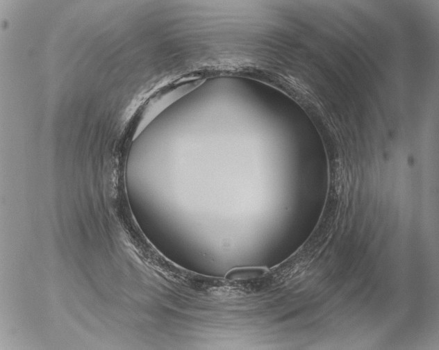 X0000053060544200508011916