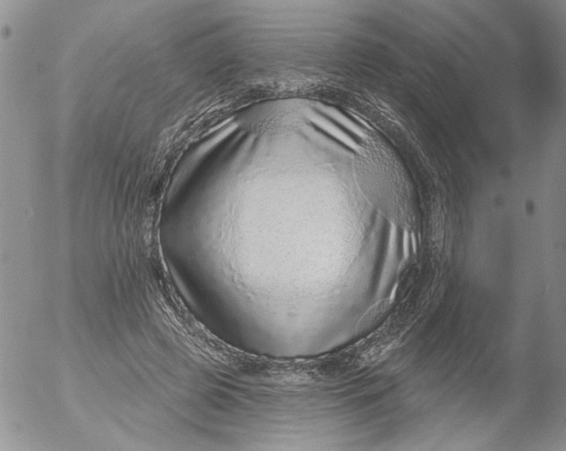 X0000053060545200508011917