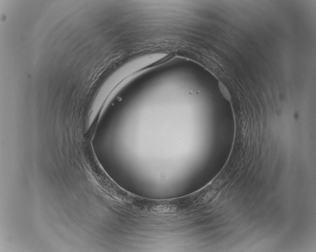 X0000053060546200508011917