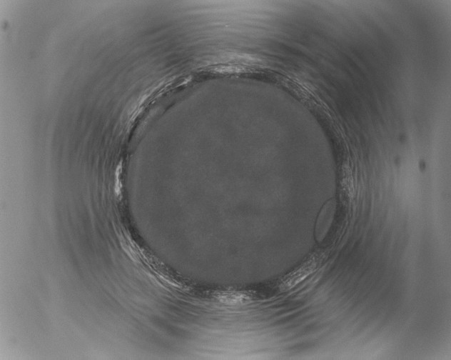 X0000053060547200508011917