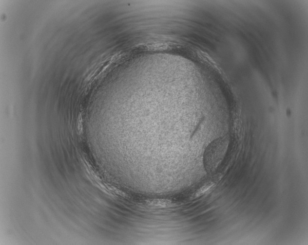 X0000053060549200508011917