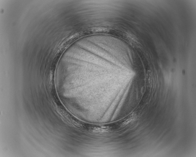 X0000053060550200508011917