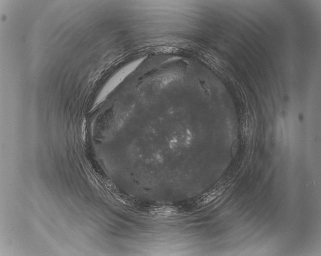 X0000053060551200508011917