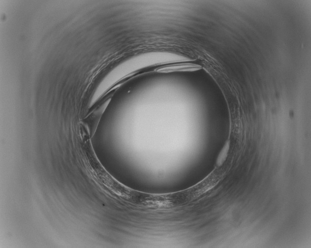 X0000053060552200508011917