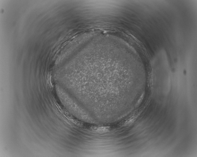 X0000053060553200508011917